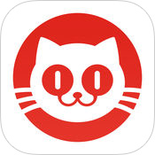 猫眼电影