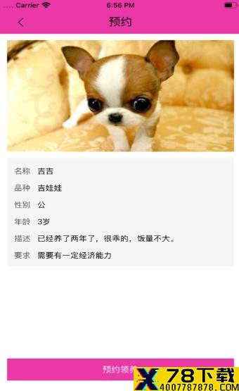喔爱萌宠