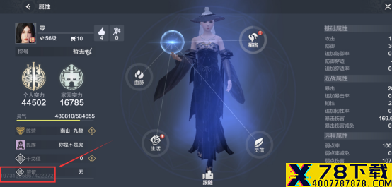 网3
