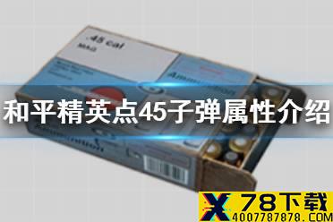 《和平精英》点45子弹好用吗 点45子弹属性介绍
