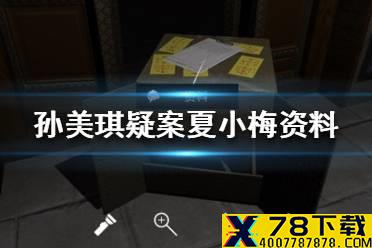 《孙美琪疑案夏小梅》资料线索在哪 资料介绍