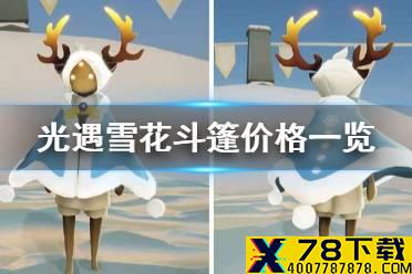 《光遇》雪花斗篷要多少钱 雪花斗篷价格一览