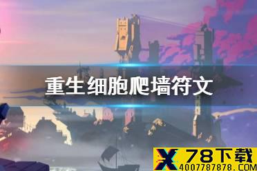 《重生细胞》怎么爬墙 爬墙符文获取方法