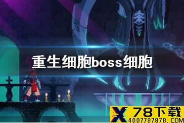 《重生细胞》boss细胞怎么获取 boss细胞获取方法