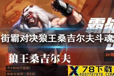 《街霸对决》狼王桑吉尔夫斗魂怎么搭配 狼王桑吉尔夫斗魂推荐