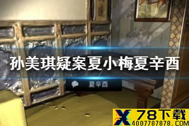 《孙美琪疑案夏小梅》夏辛酉线索在哪 夏辛酉介绍