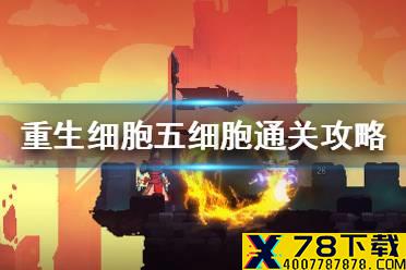 《重生细胞》五细胞怎么打 五细胞通关攻略