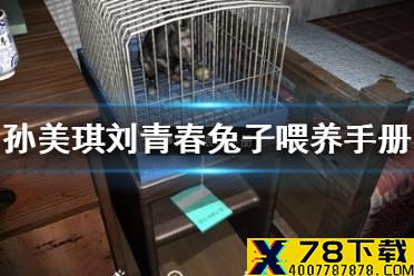 《孙美琪疑案刘青春》兔子喂养手册线索在哪 兔子喂养手册线索介绍