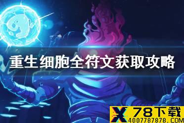 《重生细胞》符文怎么得 全符文获取攻略