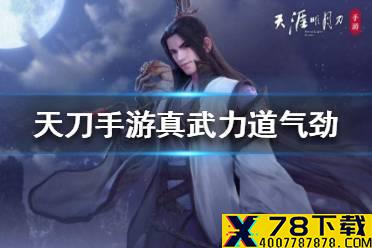 《天涯明月刀手游》真武是力道还是气劲 力道流和气劲流介绍