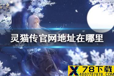 《灵猫传》官网在哪里 官网地址指路