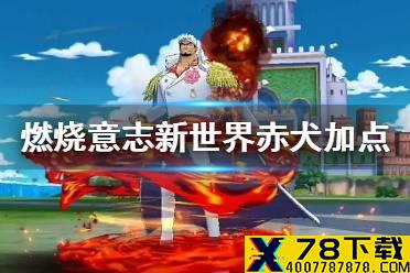 《航海王燃烧意志》新世界赤犬值得培养吗 新世界赤犬加点攻略
