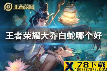 《王者荣耀》大乔的白蛇和猫狗哪个好 白蛇猫狗购买推荐
