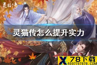 《灵猫传》怎么提升实力 战斗力提升方法介绍