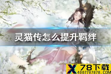 《灵猫传》怎么提升羁绊 男主羁绊提升方法介绍