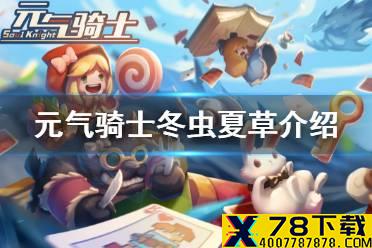 《元气骑士》冬虫夏草怎么样 冬虫夏草介绍