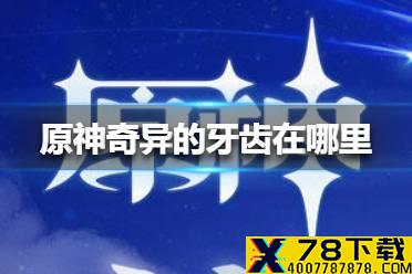 《原神手游》奇异的牙齿在哪里 奇异的牙齿位置介绍