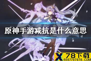 《原神手游》减抗是什么意思 风套减抗效果介绍