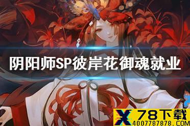 《阴阳师》SP彼岸花用什么御魂 夜溟彼岸花就业解读