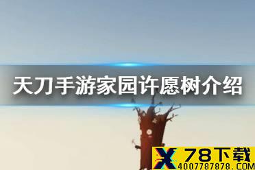 《天涯明月刀手游》家园许愿树是什么 家园许愿树介绍