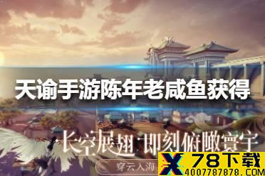 《天谕手游》陈年老咸鱼怎么获得 陈年老咸鱼获得方法