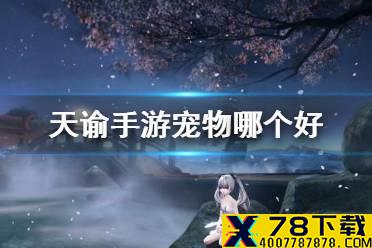 《天谕手游》宠物哪个好 强力宠物推荐