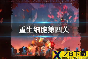 《重生细胞》第四关怎么打 第四关【猛毒下水道】通关攻略