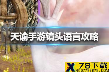 《天谕手游》镜头语言攻略 镜头语言任务怎么做