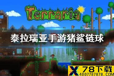 《泰拉瑞亚手游》猪鲨链球怎么样 猪鲨链球介绍