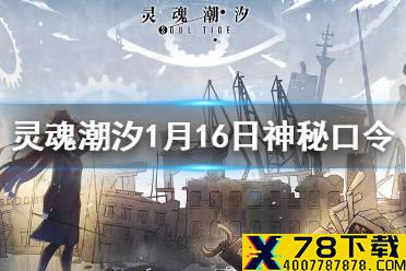 《灵魂潮汐》每日神秘口令分享 1月16日神秘口令是什么