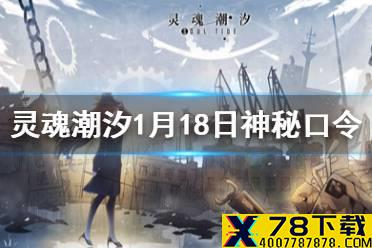《灵魂潮汐》每日神秘口令分享 1月18日神秘口令是什么