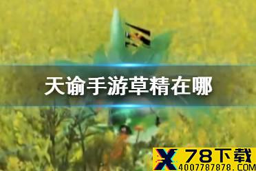 《天谕手游》草精在哪 草精特殊个体坐标