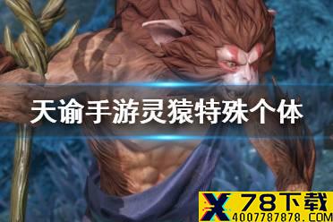 《天谕手游》灵猿特殊个体坐标 灵猿在哪
