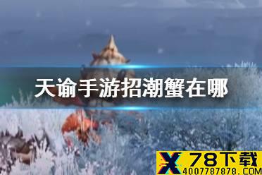 《天谕手游》招潮蟹在哪 招潮蟹特殊个体研究坐标