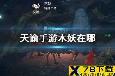 《天谕手游》木妖在哪 木妖特殊个体坐标