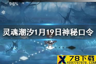《灵魂潮汐》每日神秘口令分享 1月19日神秘口令是什么