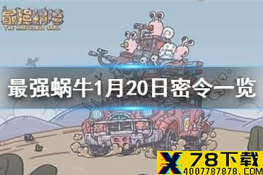 《最强蜗牛》1月20日密令是什么 1月20日密令一览