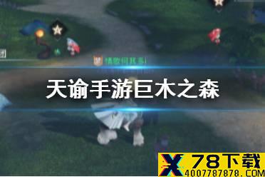 《天谕手游》巨木之森怎么完成 巨木之森隐藏任务攻略