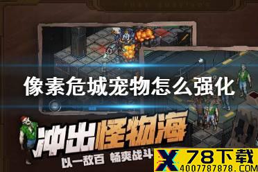 《像素危城》宠物怎么强化 宠物强化方法介绍