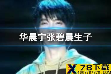 华晨宇张碧晨生子是真的吗 张碧晨和华晨宇孩子