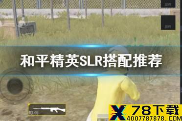 《和平精英》SLR配件搭配 SLR射手步枪配件推荐