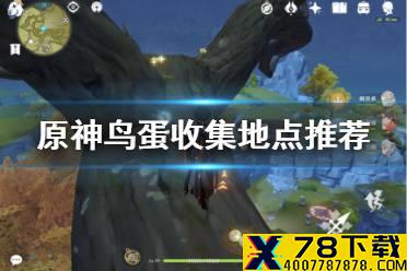 《原神手游》鸟蛋哪里多 鸟蛋收集地点推荐