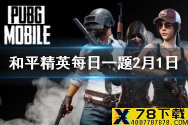 小白裙推荐鸡仔和谁成为队友 和平精英每日一题答案2月1日