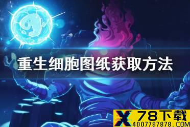 《重生细胞》图纸怎么获得 图纸获取方法汇总