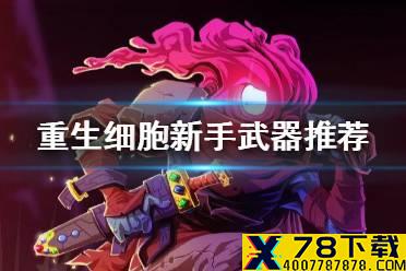 《重生细胞》新手武器选什么好 新手武器推荐攻略