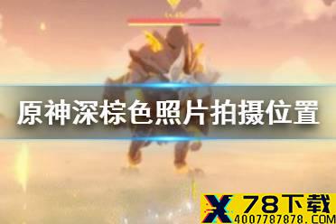 《原神手游》深棕色照片在哪拍 深棕色照片拍摄位置介绍