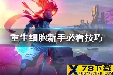 《重生细胞》新手技巧有哪些 新手必看技巧汇总