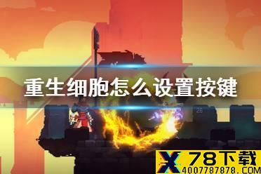 《重生细胞》怎么设置按键 键位设置介绍