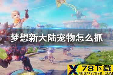 《梦想新大陆》宠物怎么抓 宠物获得方法介绍