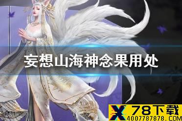 《妄想山海》神念果有什么用 神念果用处介绍